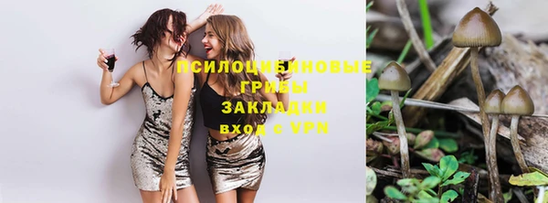 твердый Нефтекумск