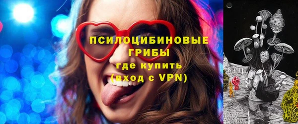 дживик Нея