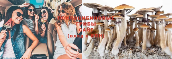 бошки Нефтегорск