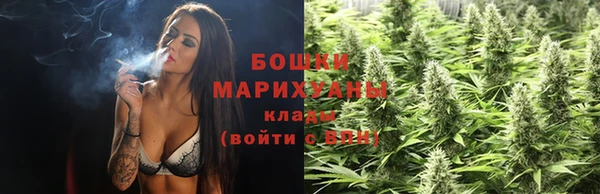 дживик Нея