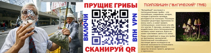 Галлюциногенные грибы Cubensis  Дорогобуж 